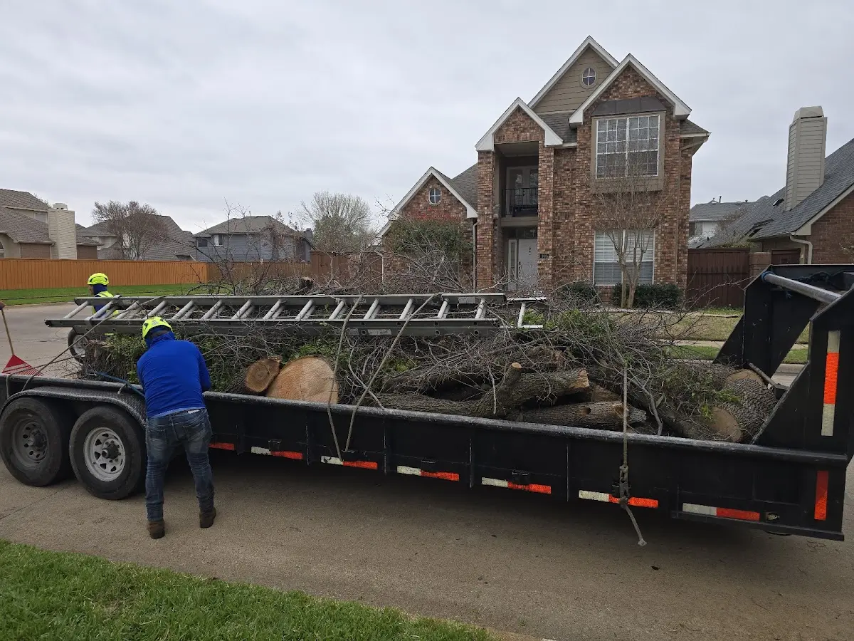 Expert Lot Clearing with proper safety equipment in Callery